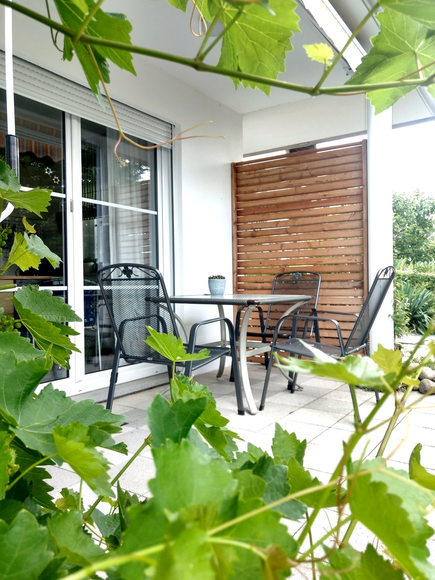 Sonnenterrasse der Ferienwohnung Paradies